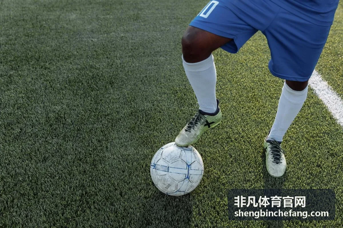 非凡体育官网提供体育场馆与器材整体配套的实景场地